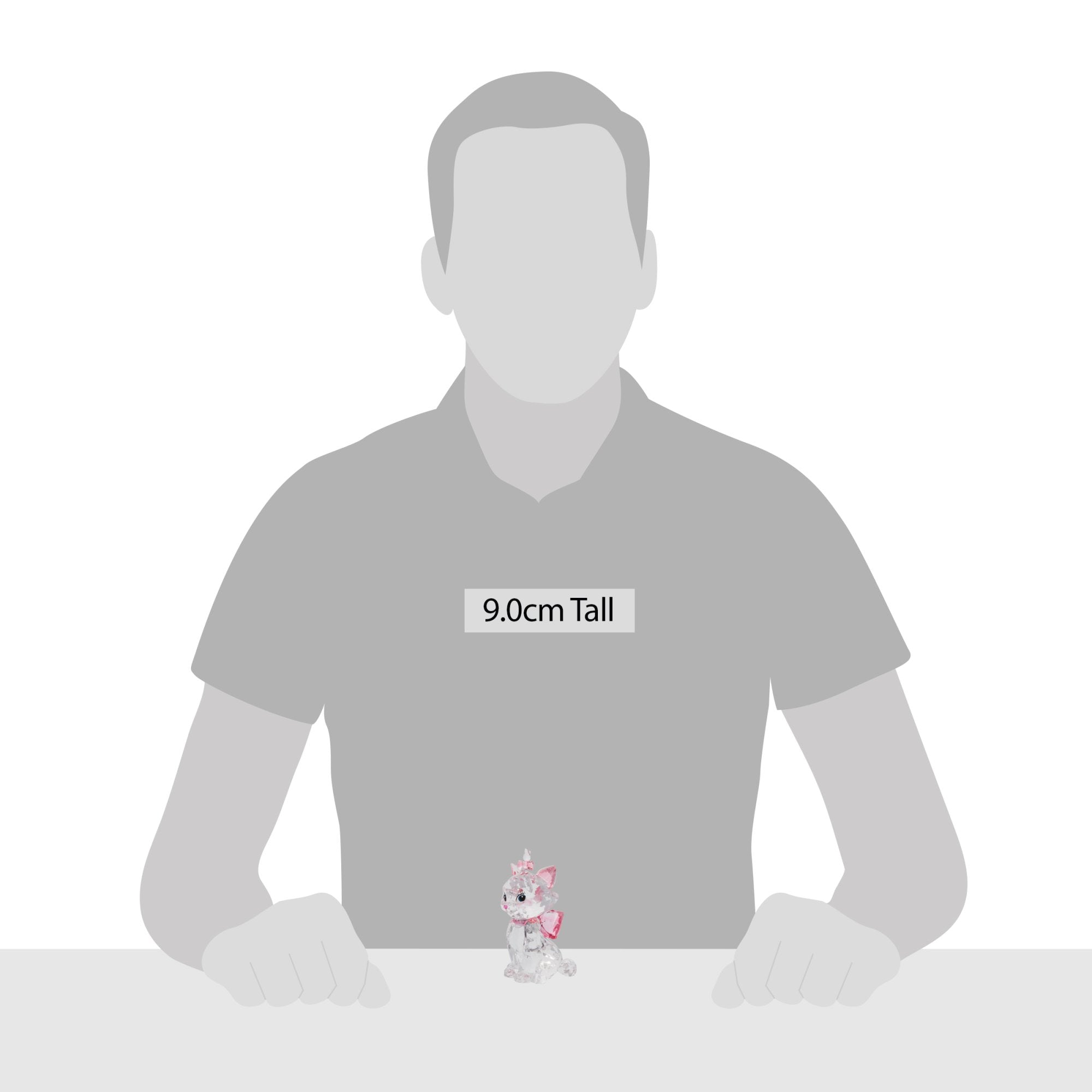 Licensed Marie Facet